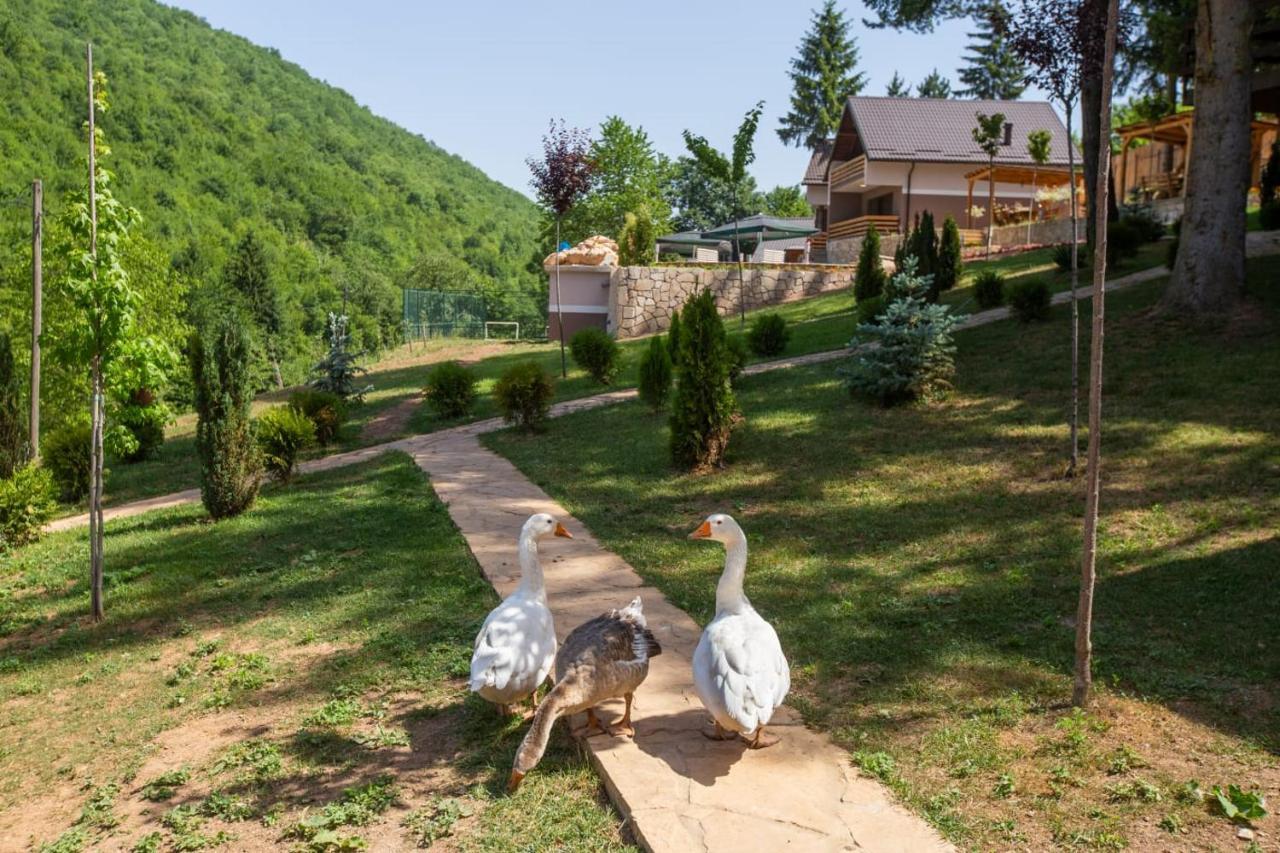 Vila Jasen - Bjelasnica Сараєво Екстер'єр фото